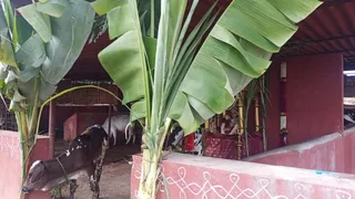 Jan 15 2022 sripuram