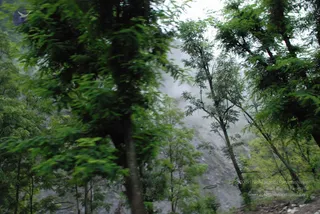 July 08 2008
