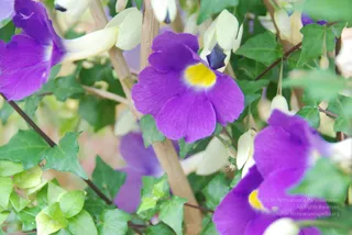 July 08 2010