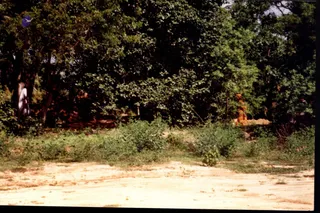 2003 -Glimpses From Various Programs