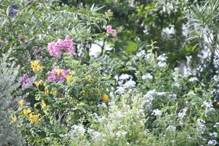 August 08 2011