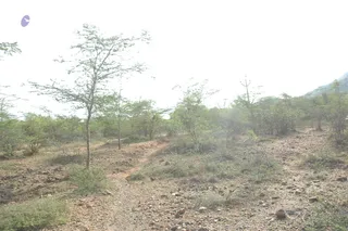 1978 - Tiruvannamalai - InnerGirivala