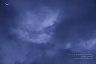 August 10 2011