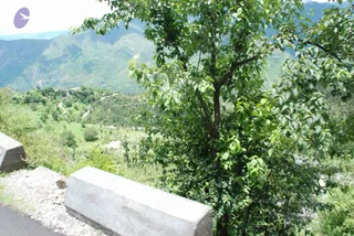 June 29 2008