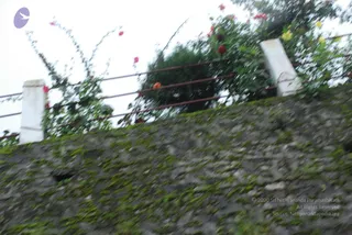 July 08 2008