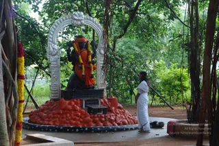 July 11 2010