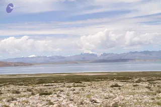 August 05 2011