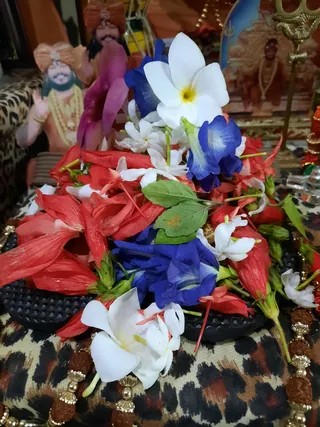 KAILASA SAN FERNANDO, TRINIDAD & TOBAGO on 2/27/2022