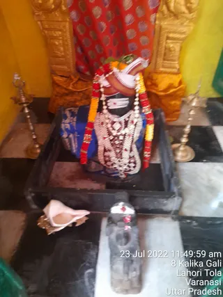 Photo 8289968