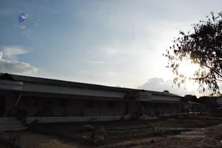 November 20 2008