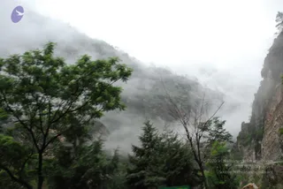 July 08 2008