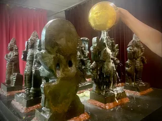 KAILASA HOUSTON, USA on 7/27/2022