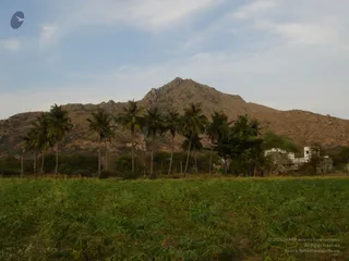 1978 - Tiruvannamalai
