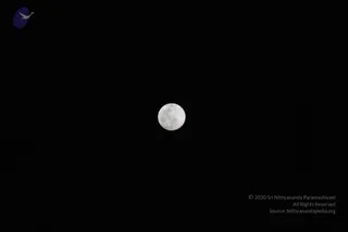 January 02 2010