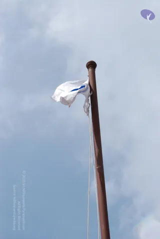 20080729 Photo 1176 1L 6gFNUJvoO2j6OkttmlnUMwaO7qzKKL.JPG