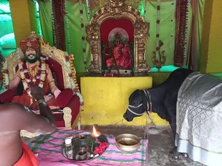 KASHI-SARVAJNAPEETAM-2021-12-29-1LYWGbe uf9S31dgLDdf01LUPtr1QjwAd.jpg