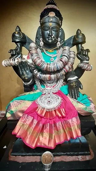 KAILASA HOUSTON, USA on 8/1/2022