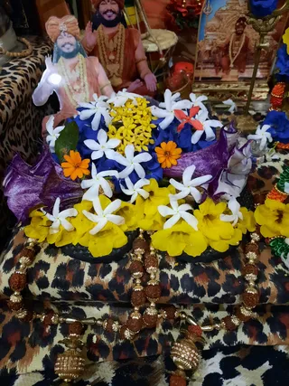Photo 8290087