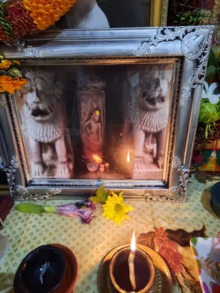 Photo 8290095