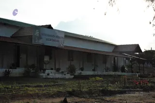 November 20 2008