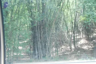 August 03 2009