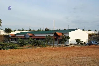 November 20 2008