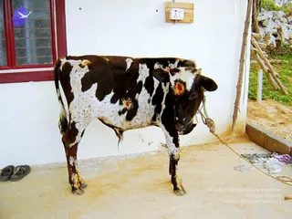 August 26 2007