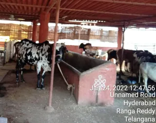 Jan 24 2022 sripuram