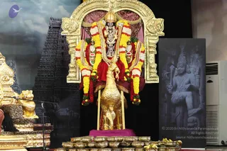 January 24 2016