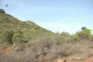1978 - Tiruvannamalai - InnerGirivala