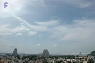 May 20 1989