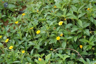 October 03 2010
