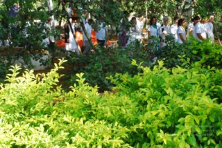June 01 2009