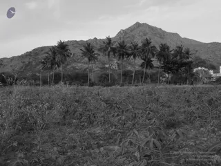 1978 - Tiruvannamalai