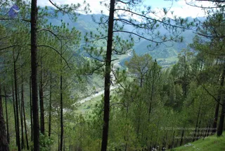 July 02 2008