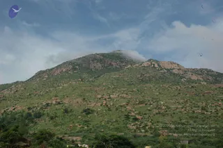 May 20 1989