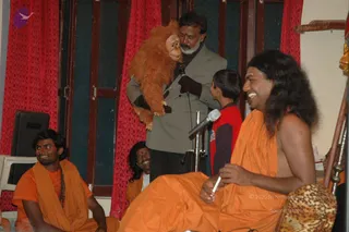 May 29 2006