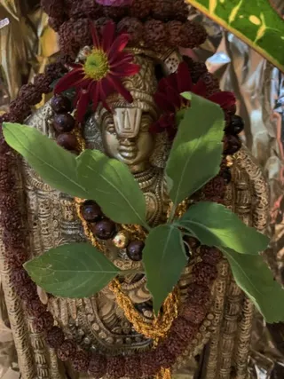 KAILASA LATIN AMERICA on 10/30/2021