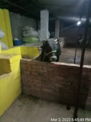 KASHI-SARVAJNAPEETAM-2022-03-03-10x0MWjfQxW0nk8HQLMUeqFG-BEOuyeZV.jpg