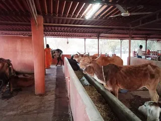 Feb 4 2022 sripuram