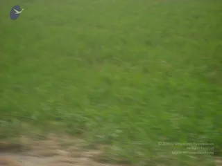 September 2006 - Sindhanur flood relief