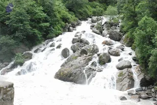 July 02 2008