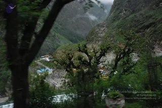 July 08 2008