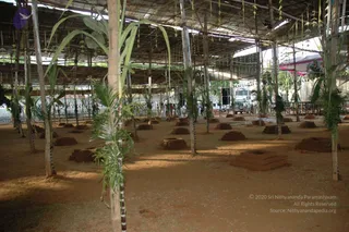 July 16 2006