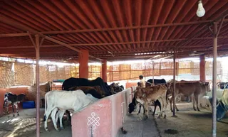 Jan 23 2022 sripuram
