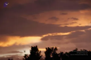 August 10 2011
