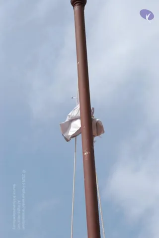 20080729 Photo 1167 1KrT-4zvRLiv0GjnuSw-eiTFXOVBNIu0F.JPG