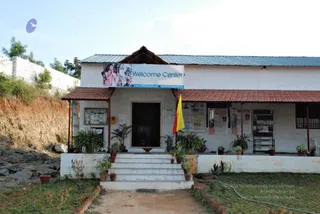 November 20 2008