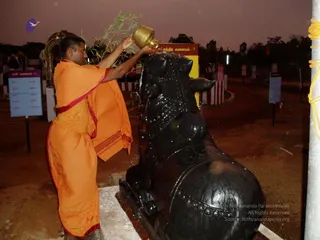 July 30 2008