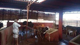 Jan 15 2022 sripuram